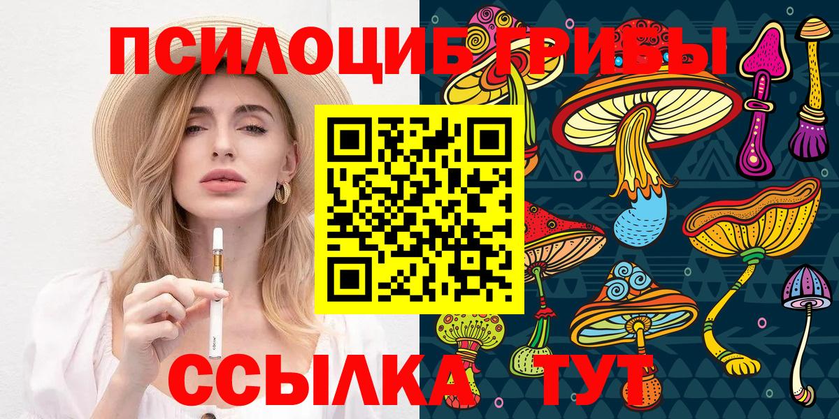 Псилоцибиновые грибы MAGIC MUSHROOMS Камышин