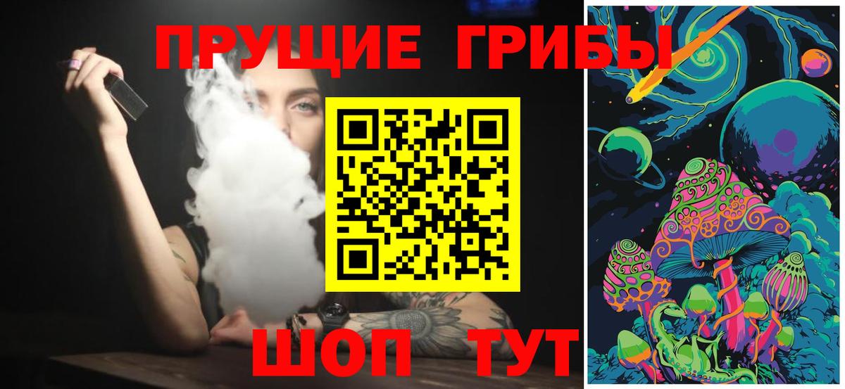 Галлюциногенные грибы ЛСД  Вход с VPN  Галлюциногенные грибы Cubensis  где продают   Камышин 